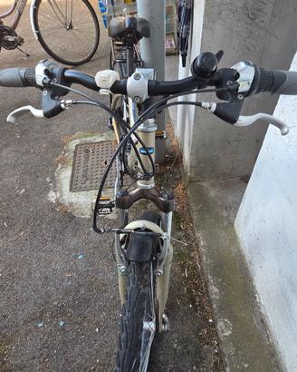 bicicletta  ragazzo  