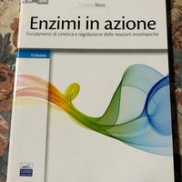 Enzimi in azione