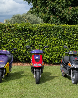 Aprilia SR replica vari modelli