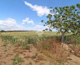 TER. AGRICOLO A ISOLA DI CAPO RIZZUTO