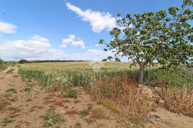 TER. AGRICOLO A ISOLA DI CAPO RIZZUTO