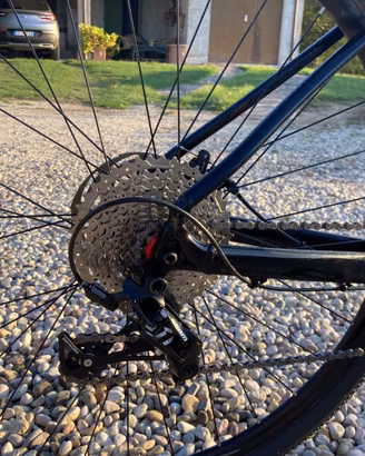 Bicicletta 