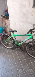 bicicletta magnum 