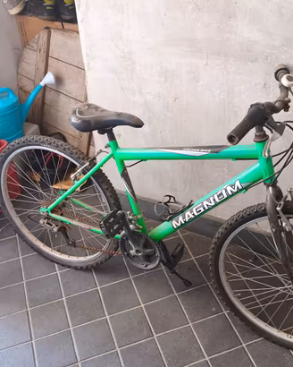 bicicletta magnum 