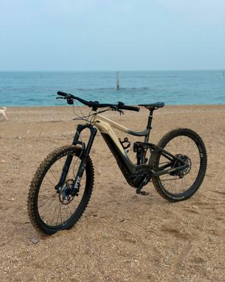 Bicletta Elettrica Giant Reing E+ 2