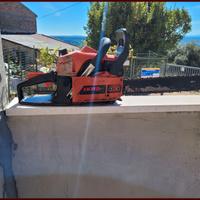 Motosega Ikra — Apparato Meccanico da Controllo