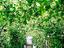 Immagine 19