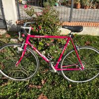 Bici da corsa Giant