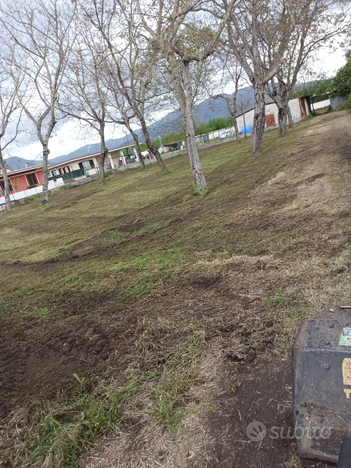 Terreno agricolo 1250 mq