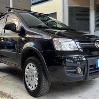 Fiat Panda 4x4 Benzina Euro 5B - 2012
