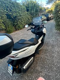 Honda forza 300
