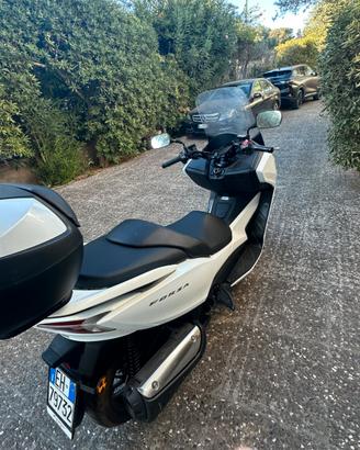Honda forza 300