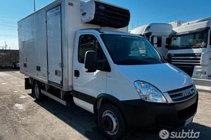 Iveco daily 60c15 cella frigo 4.20mt 2008