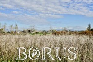 Terreno edificabile - Villa Literno