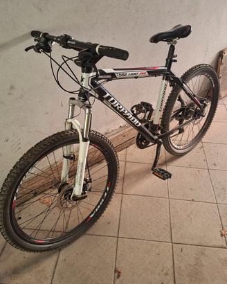 Bicicletta Mtb