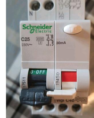 Schneider 19450 Blocco Differenziale 