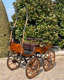 Carrozza per cavalli breck svizzero firmato