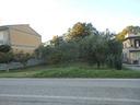 terreno-di-1000-m²-a-caianello