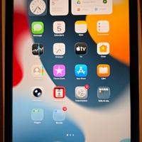 Ipad mini 6 wifi