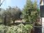 Immagine 29