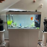Acquario juwel Rio 350 con mobiletto