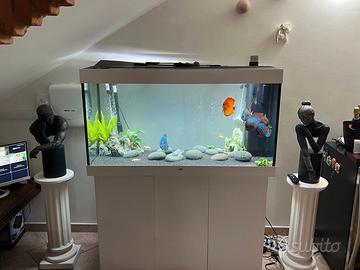 Acquario juwel Rio 350 con mobiletto