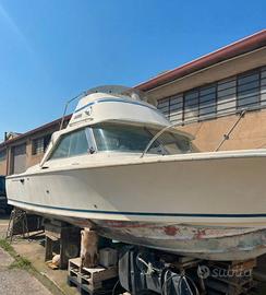 Riva Bertram 25 Sportfisherman Fly