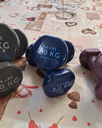 set Manubri Decathlon 