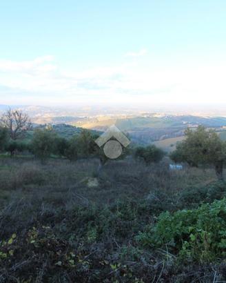 TER. RESIDENZIALE A CASTELLALTO