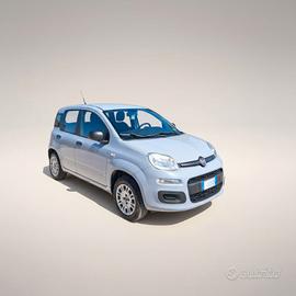 FIAT Panda 3ª serie Panda 1.2 Easy