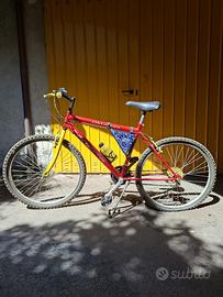 Mountain bike adolescente