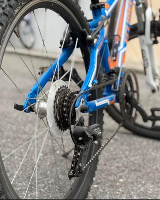 Bicicletta