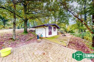 CASETTA INDIPENDENTE IMMERSA NEL VERDE!