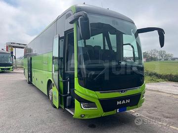 Man Lion's Coach
