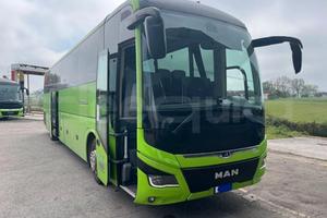 Man Lion's Coach