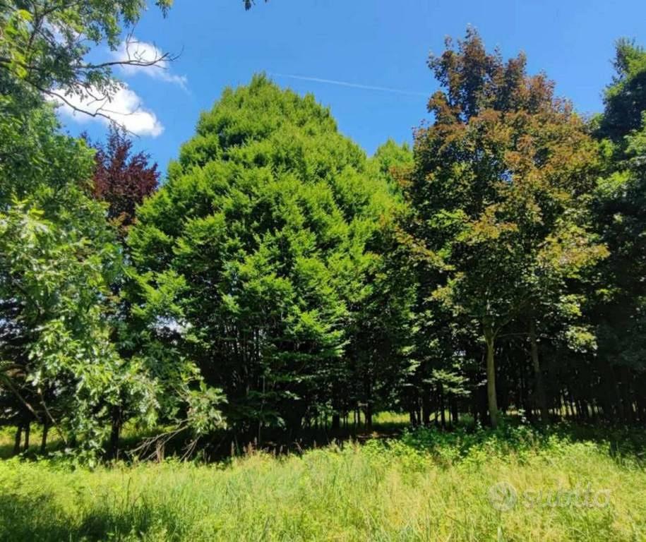 Immobile in asta di 34378 m² a Treviso - Vista 5