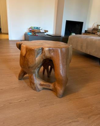 Radice in legno massiccio