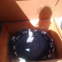 cuccia x cani da esterno