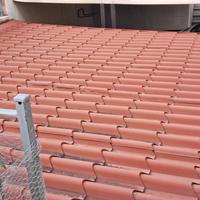 Tettoia come da foto