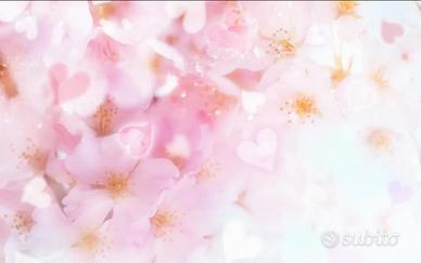 Estetista Specializzata