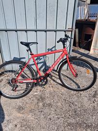 Bici da ragazzo  