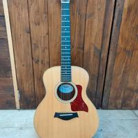 Taylor GS mini e