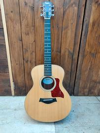 Taylor GS mini e