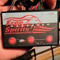 Centralina per Harley Davidson Sportster 