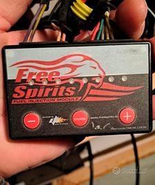 Centralina per Harley Davidson Sportster 