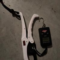 Bilancia con grip bass fishing