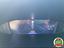 Immagine 14
