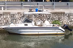 RIO 700 FISH