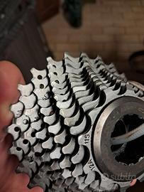 Corpetto campagnolo 11v