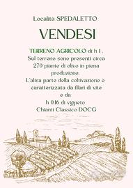 Terreno a coltivazione mista